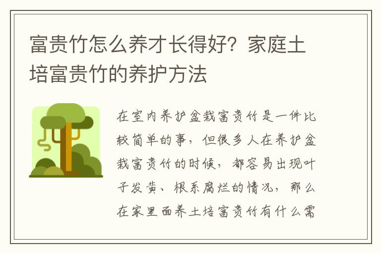 富贵竹怎么养才长得好？家庭土培富贵