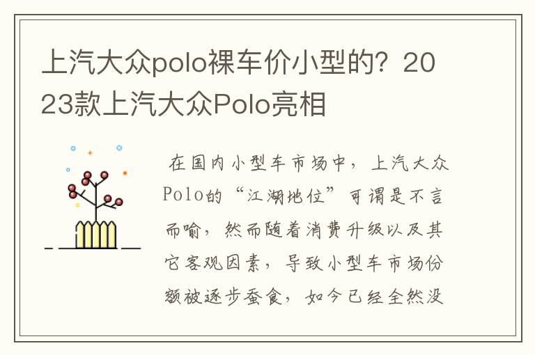 上汽大众polo裸车价小型的？2023款上汽大众Polo亮相