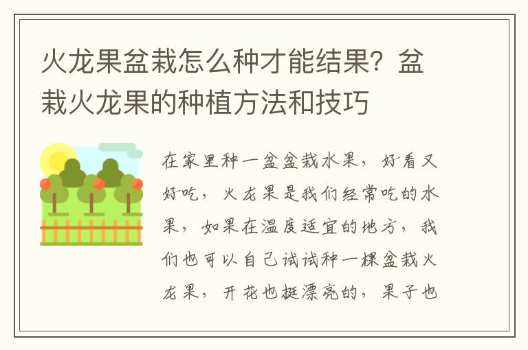 火龙果盆栽怎么种才能结果？盆栽火龙果的种植方法和技巧