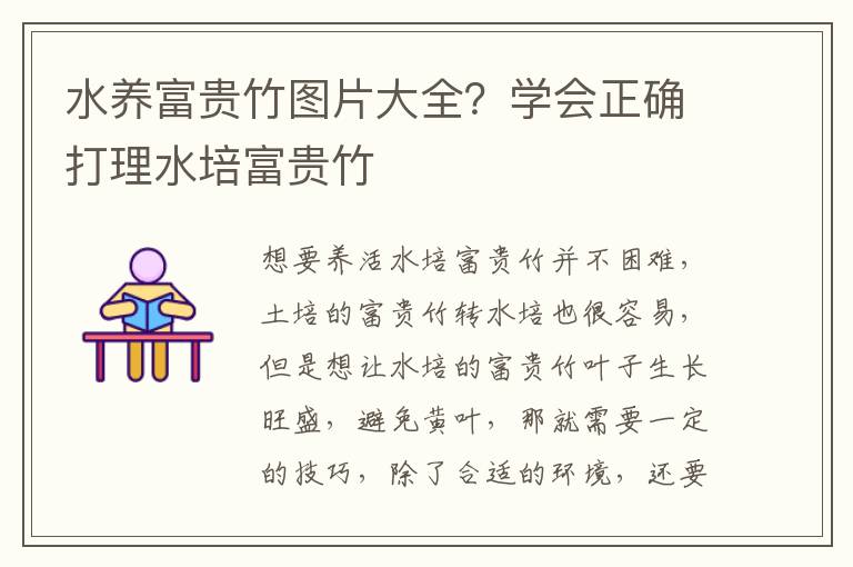 水养富贵竹图片大全？学会正确打理水培富贵竹