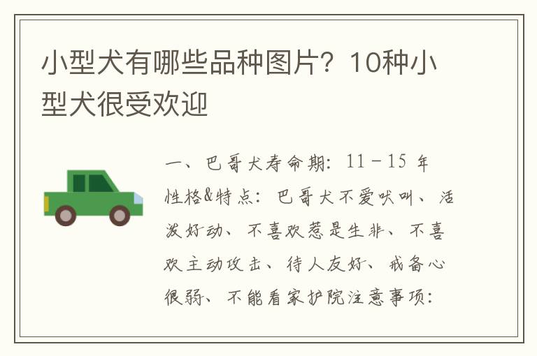 小型犬有哪些品种图片？10种小型犬很