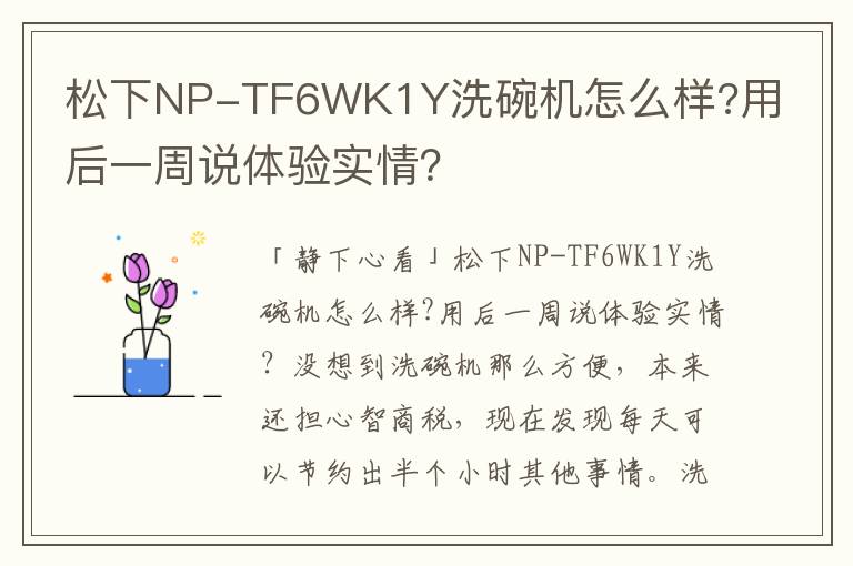 松下NP-TF6WK1Y洗碗机怎么样?用后一周说体验实情？