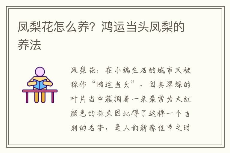 凤梨花怎么养？鸿运当头凤梨的养法