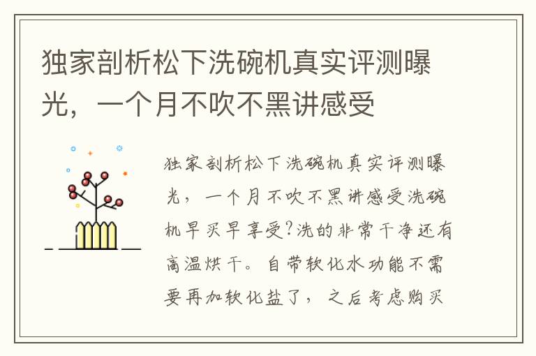 独家剖析松下洗碗机真实评测曝光，一