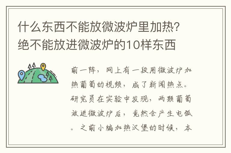什么东西不能放微波炉里加热？绝不能放进微波炉的10样东西
