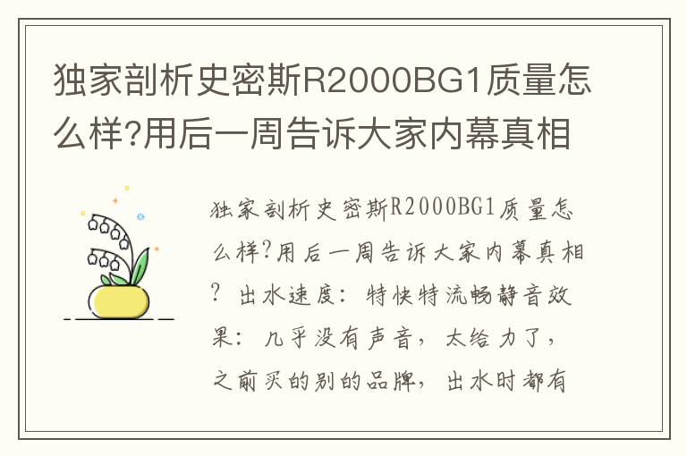 独家剖析史密斯R2000BG1质量怎么样?用后一周告诉大家内幕真相？