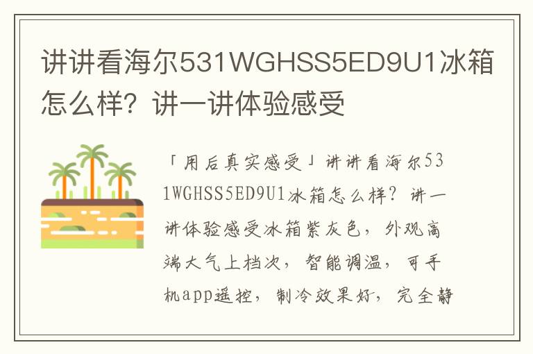 讲讲看海尔531WGHSS5ED9U1冰箱怎么样？讲一讲体验感受