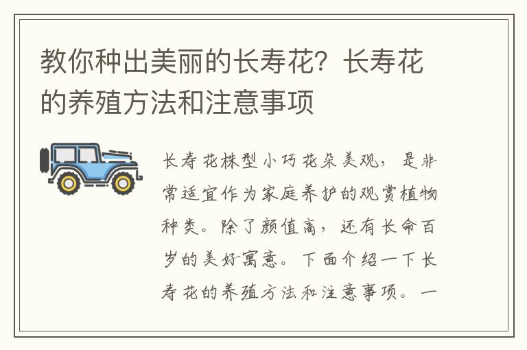 教你种出美丽的长寿花？长寿花的养殖