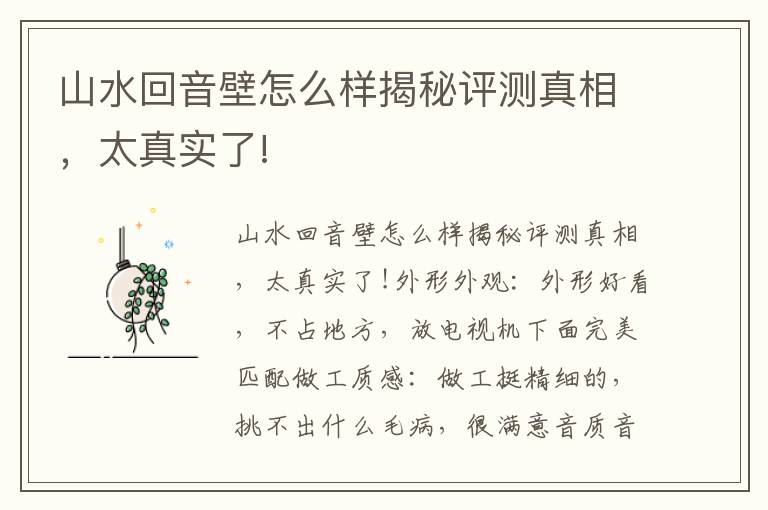 山水回音壁怎么样揭秘评测真相，太真