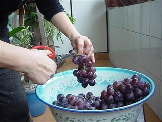 如何正确自酿葡萄酒？自制葡萄酒的家常做法