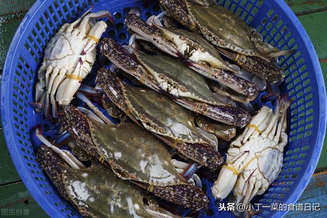 螃蟹和河蟹保存方法？螃蟹和海蟹怎么保存