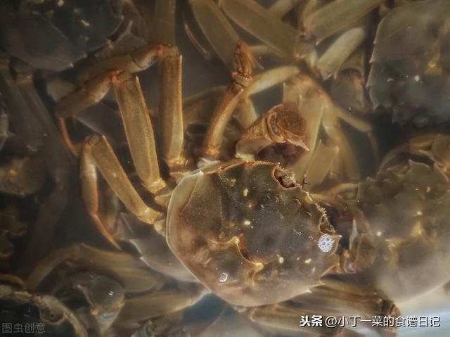 螃蟹和河蟹保存方法？螃蟹和海蟹怎么保存