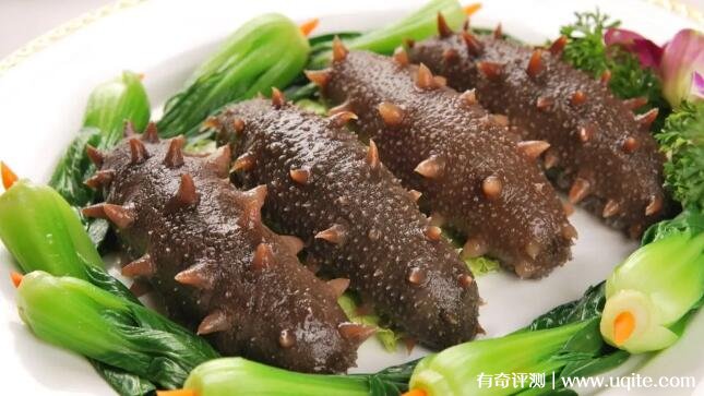 吃海参的最佳季节是什么（秋冬季节的海参最鲜美）