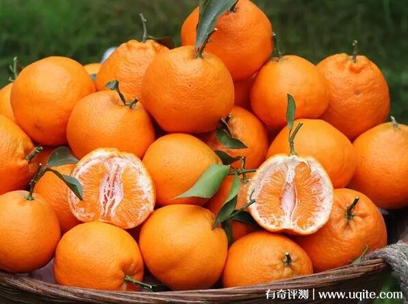 四川耙耙柑怎么念与丑橘的区别是什么（和丑橘有三大区别）