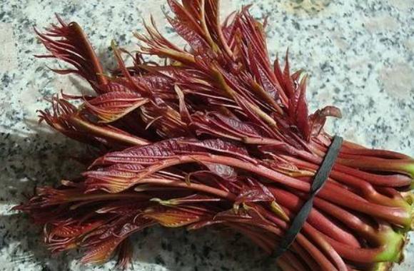 雨水节气吃什么传统食物？雨水节气最佳食物