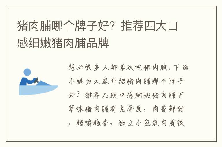 猪肉脯哪个牌子好？推荐四大口感细嫩猪肉脯品牌