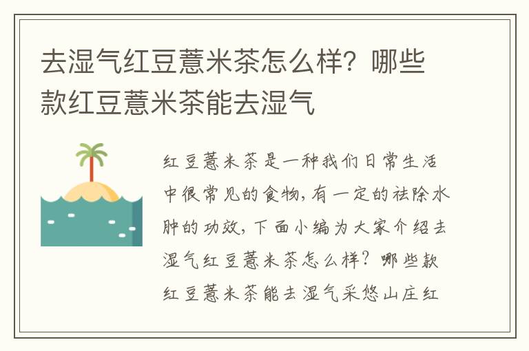 去湿气红豆薏米茶怎么样？哪些款红豆薏米茶能去湿气
