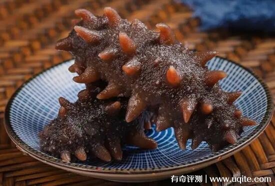 吃海参的最佳季节是什么（秋冬季节的海参最鲜美）