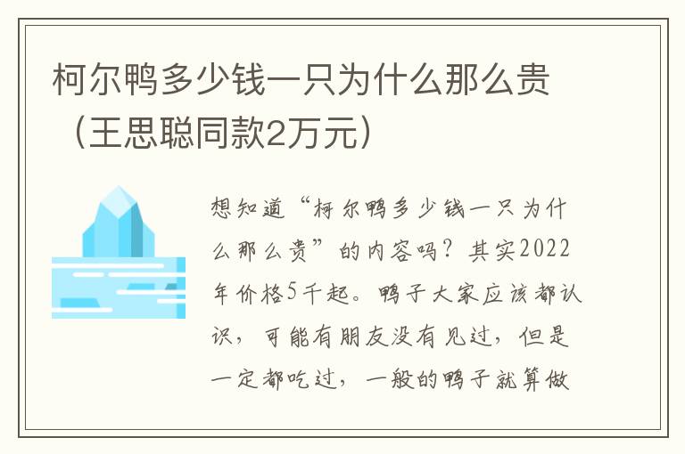 柯尔鸭多少钱一只为什么那么贵（王思聪同款2万元）