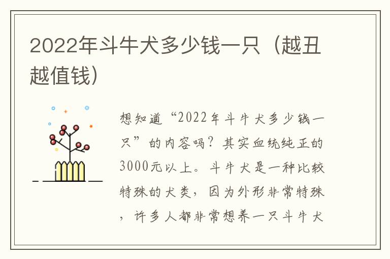 2022年斗牛犬多少钱一只（越丑越值钱）