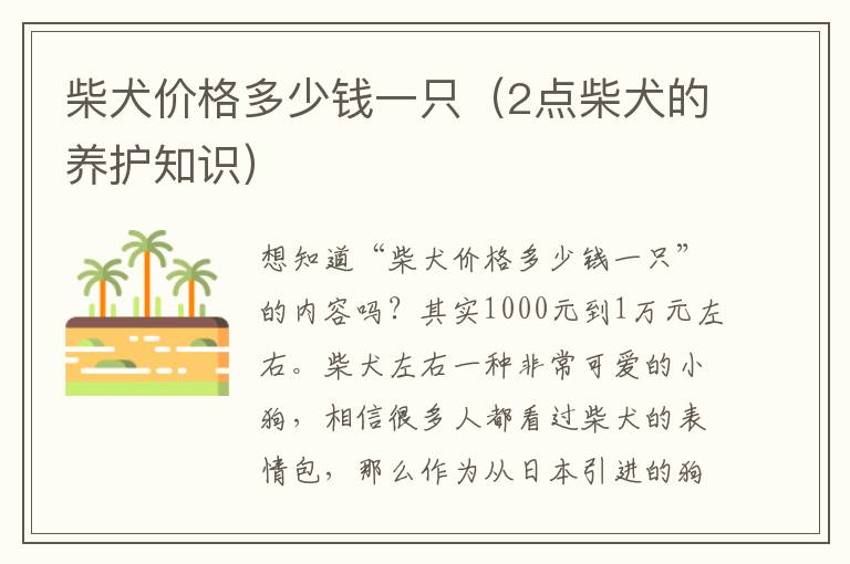柴犬价格多少钱一只（2点柴犬的养护知识）