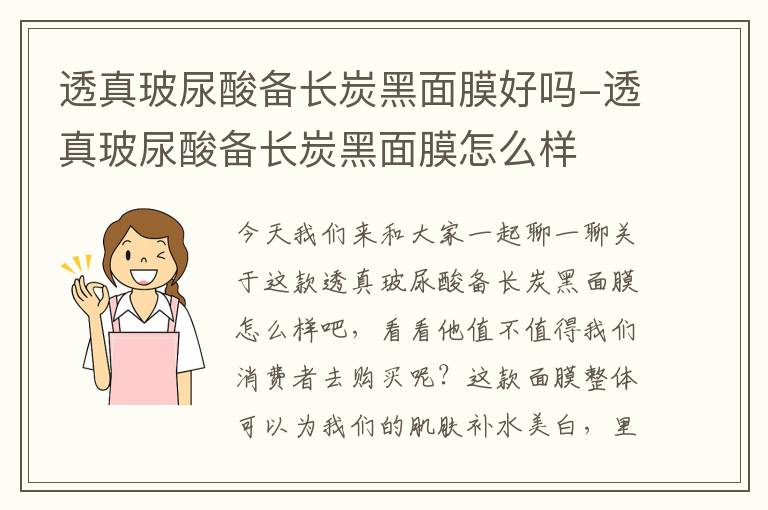 透真玻尿酸备长炭黑面膜好吗-透真玻尿酸备长炭黑面膜怎么样