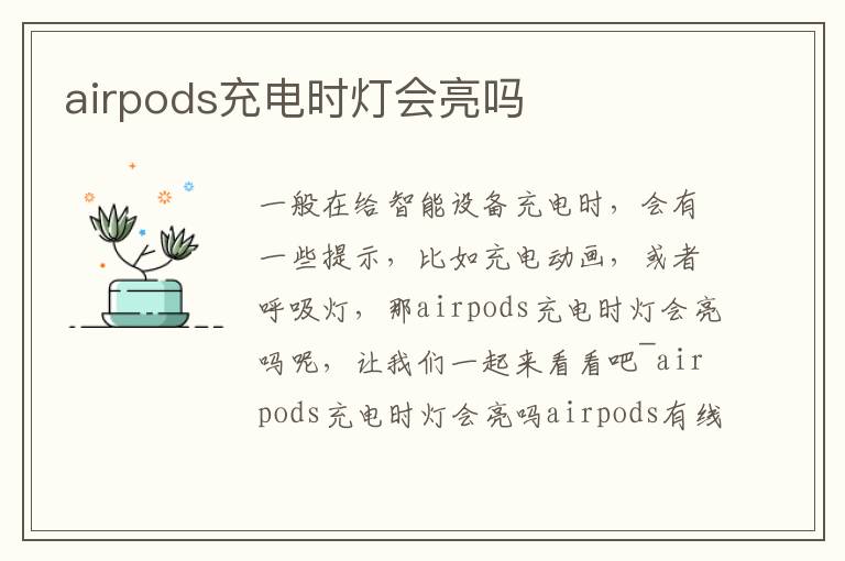 airpods充电时灯会亮吗
