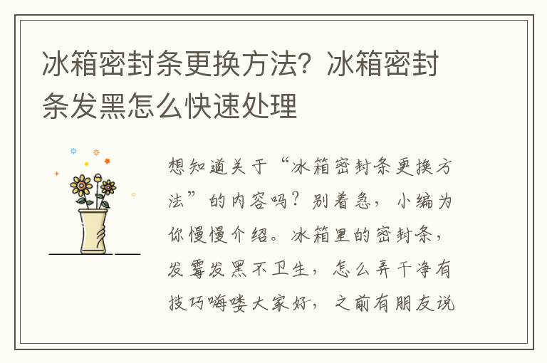 冰箱密封条更换方法？冰箱密封条发黑怎么快速处理