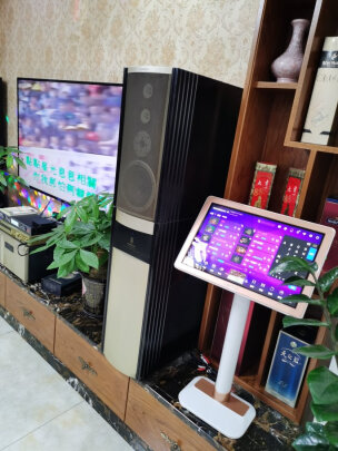 用户揭秘威斯汀OK-189点歌机好吗,入手解密评测真相