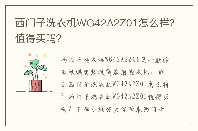 西门子洗衣机WG42A2Z01怎么样？值得买吗？