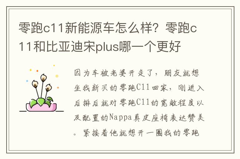 零跑c11新能源车怎么样？零跑c11和比亚迪宋plus哪一个更好