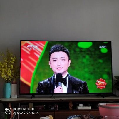 报价参数tcl65v2-pro和tcl65v6-pro主要区别是啥？选择哪款比较好?