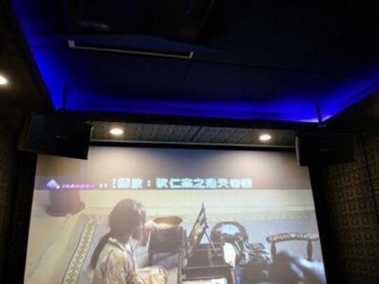 山水（SANSUI）SP9家用ktv音响到底怎么样？用后说感受内幕