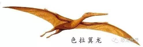 恐龙的种类名称及图？恐龙的种类有哪些