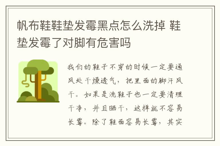 帆布鞋鞋垫发霉黑点怎么洗掉 鞋垫发霉了对脚有危害吗