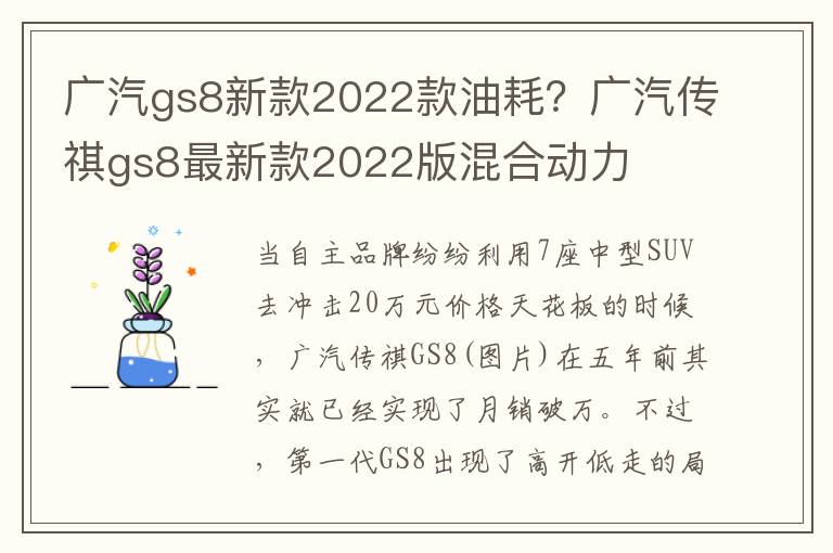 广汽gs8新款2022款油耗？广汽传祺gs8最新款2022版混合动力