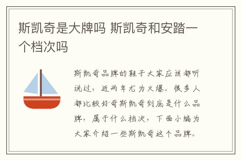 斯凯奇是大牌吗 斯凯奇和安踏一个档次吗