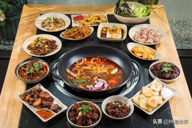 遵义特产有哪些特产？遵义十大特色美食