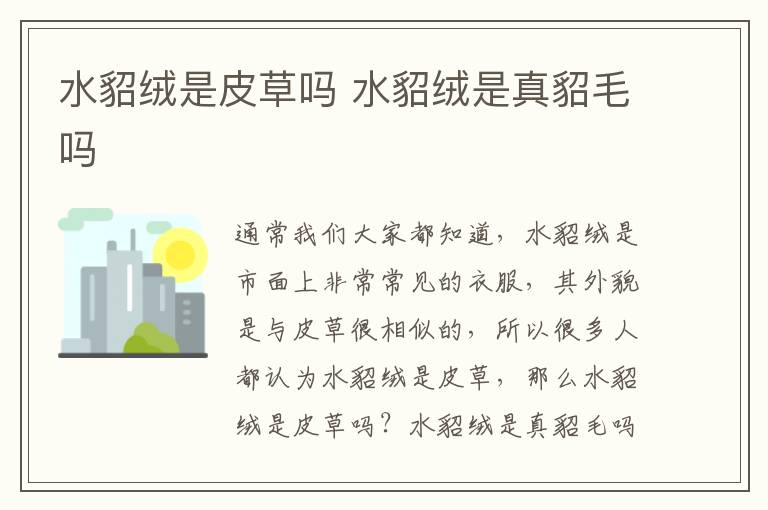 水貂绒是皮草吗 水貂绒是真貂毛吗