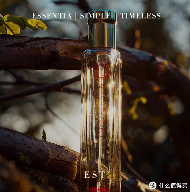 女士香水什么牌子的好？11款香水总有一款适合你