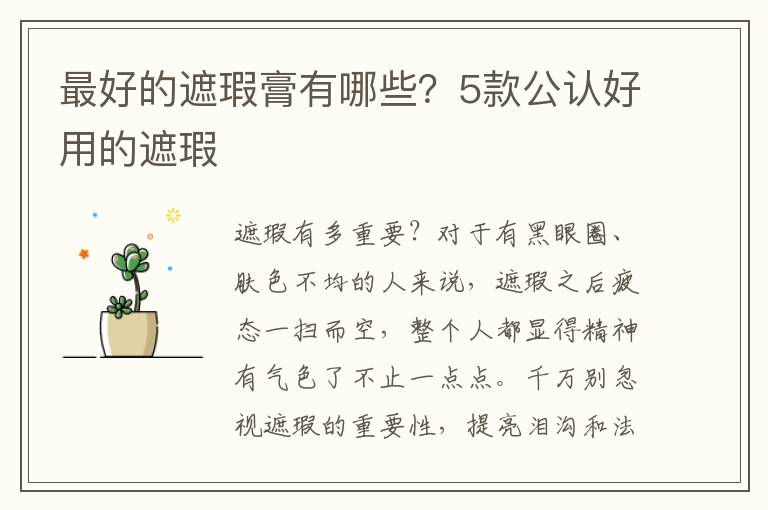 最好的遮瑕膏有哪些？5款公认好用的遮瑕