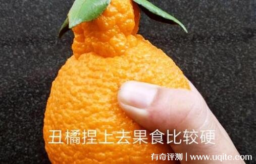 四川耙耙柑怎么念与丑橘的区别是什么（和丑橘有三大区别）