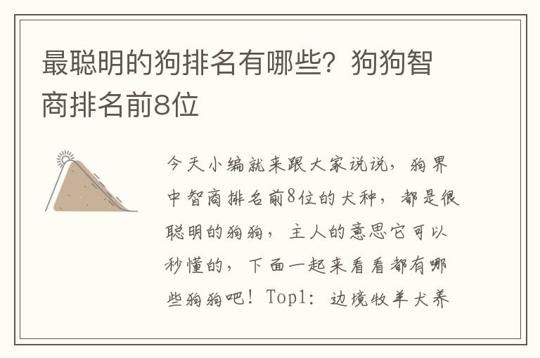 最聪明的狗排名有哪些？狗狗智商排名前8位