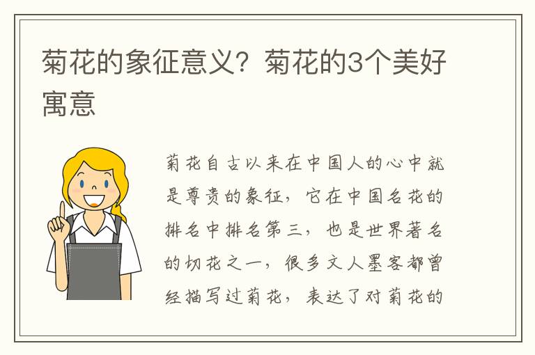 菊花的象征意义？菊花的3个美好寓意