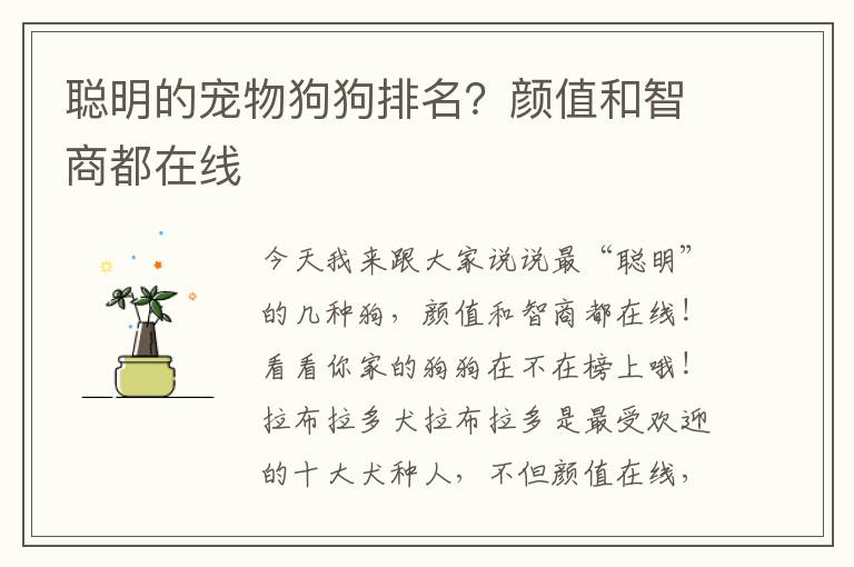 聪明的宠物狗狗排名？颜值和智商都在线