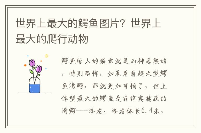 世界上最大的鳄鱼图片？世界上最大的爬行动物