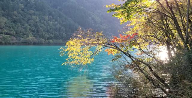 夏天适合到哪里旅游？盘点夏天必去的五个旅游景点