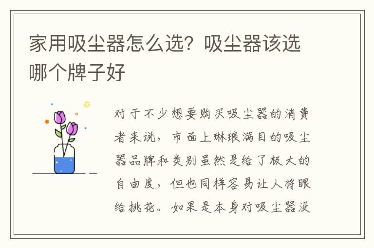 家用吸尘器怎么选？吸尘器该选哪个牌子好