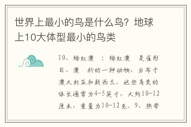 世界上最小的鸟是什么鸟？地球上10大体型最小的鸟类