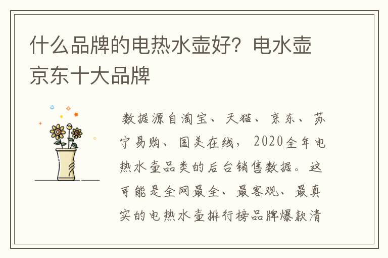 什么品牌的电热水壶好？电水壶京东十大品牌